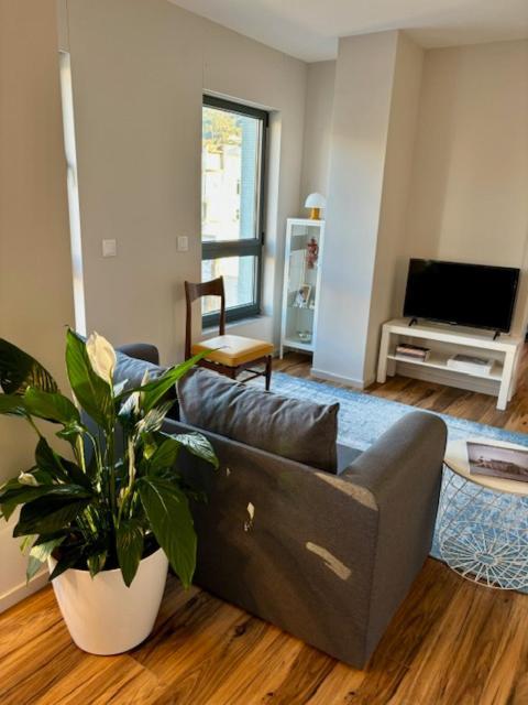 Apartamento Three Little Birds